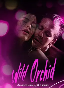 古装权谋剧《长安十二楼》海报